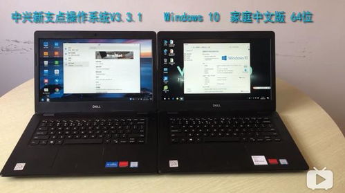 win10安装中兴新支点