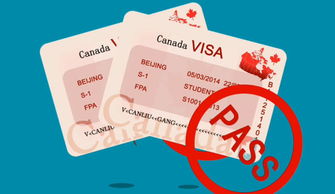 赴加生子签证，办加拿大旅游签证去生孩子是合法的吗