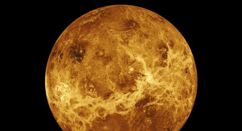 欧空局 太阳轨道探测器飞过金星