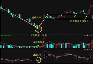 股票中的低价位和高价位是什么意思，说通俗点