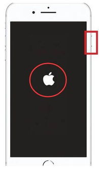苹果手机怎么强制关机重启手机 