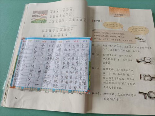 十佳读书心得范文  读书心得50个字？