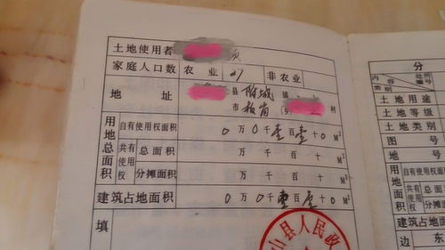 夫妇欠债1000万,给儿子买了18套房子,房本写子女名字真能避债吗 