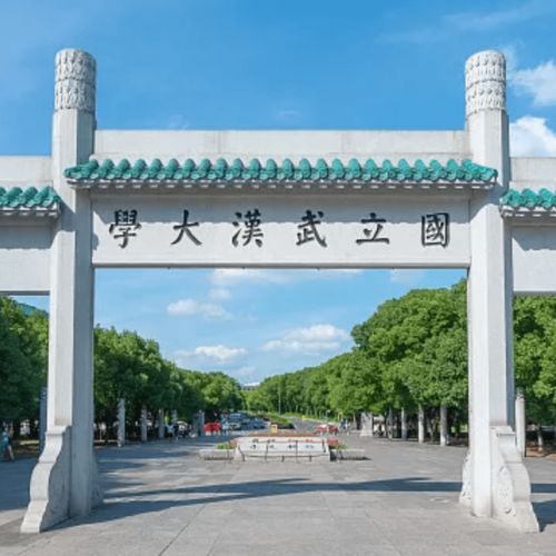 武汉大学文理学部有哪些学院