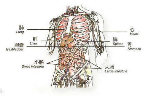 疾病的名字很吓人,其实自己就能搞定一大半