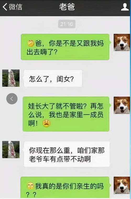 大学生和家长的聊天截图走红,父爱如山体滑坡,一言不合就拉黑