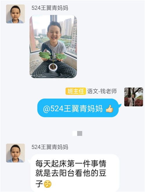 育英文旅 种敏毅豆 做敏毅少年 