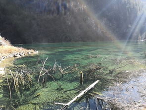 达古冰川旅游攻略