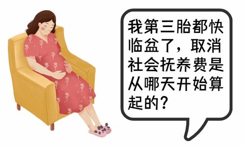 社会抚养费已成过去式,遗留问题怎么解决 请看这份公告