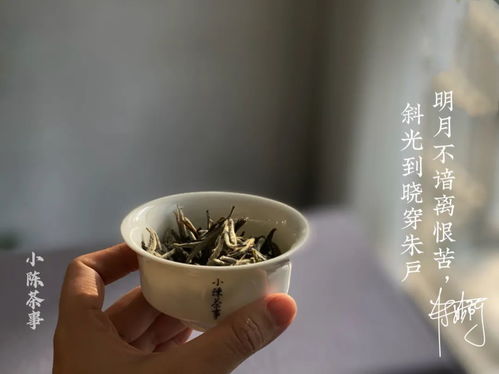 春节宅家,一天当中早 中 晚该喝什么茶 白茶 岩茶还是红茶