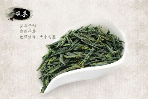 瓜片茶？瓜片茶属于什么茶