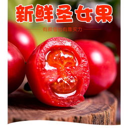 小西红柿千禧圣女果5斤 孕妇水果柿子新鲜现摘 樱桃酸甜小番茄