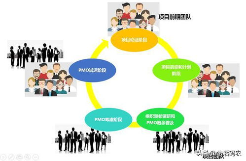 组织文化包括哪几个主要层面(组织文化一般有几种类型)