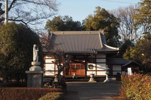 去日本还住酒店 寺庙住宿最紧越来越火了