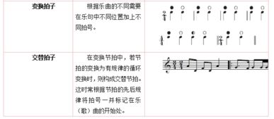 公招有什么专业知识点