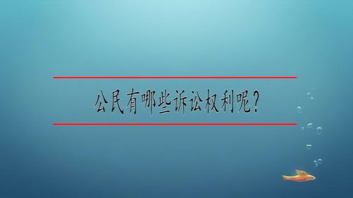 公民的诉讼权利有哪些  第1张