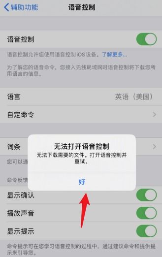 苹果中无法打开语音控制怎么办