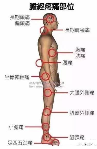 从人体疼痛部位判断你的那条经络阻塞了 