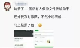 删掉的好友如何偷偷加回来 微信这些冷门功能大部分柏塘人都不知道 