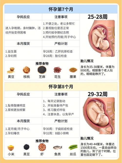 怀孕初期饮食(怀孕初期的饮食要点)