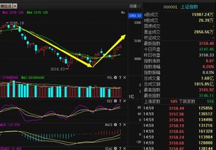 我是新股民，想问个问题，，比如今天整个股市价值100亿，但是大盘走低，现在整个股市价值50亿，，我想问下