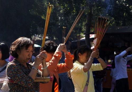 十月不缺财源,3大生肖贵子入家门,人穷志不穷