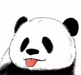 熊猫头像可爱卡通图片