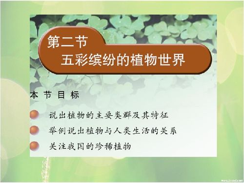 缤纷这个词语的解释;请问五彩缤纷是什么意思？