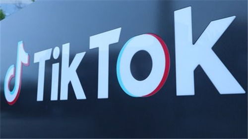 tiktok tok国际版下载_TikTok国内代理商