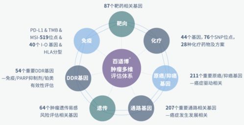 臻和科技完成超十亿元E轮融资,将进一步推动肿瘤诊断产品研发