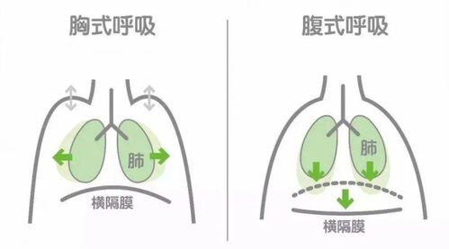 干货 瑜伽呼吸法,赶走焦虑,做自己情绪的大主宰