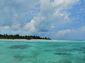 马尔代夫欢乐岛白酒让你体验海洋的美味（马尔代夫度假多少钱）