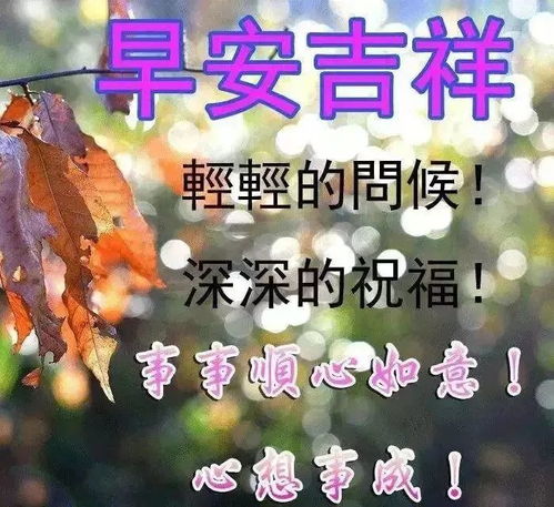 友谊文案带字励志短句-很拽的友情文案？