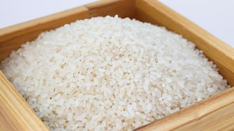 米饭的各种做法大全家常，让你的餐桌每天都有新滋味！