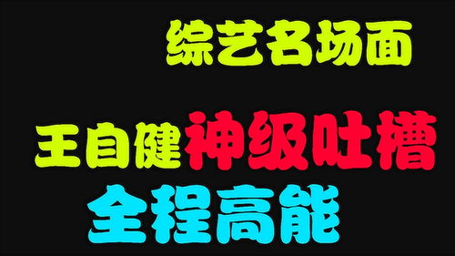 盘点综艺中王自健吐槽名场面,真是神级吐槽,让人笑出腹肌 