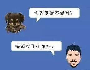 几折表示什么意思