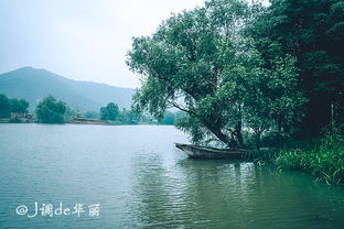 周末自驾游 太湖会,在 四养 度假空间中纵情天地