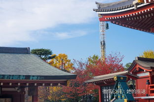 关东十八日,一个人的赏枫摄影之旅 东京,日光,镰仓,富士山,箱根,横滨,附各种穷游攻略 东京游记攻略 