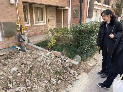 上海一居民砍倒屋后一颗树被罚9万 这些部门给说法
