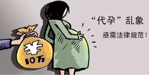 借卵代孕(借卵生子合法吗。帮帮忙)