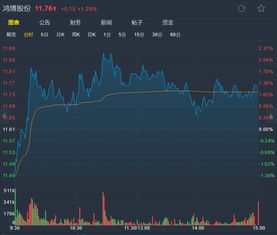 为什么大股东减持股价不跌反涨