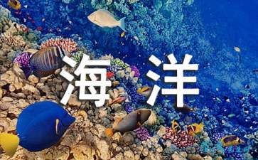 走向海洋读后感