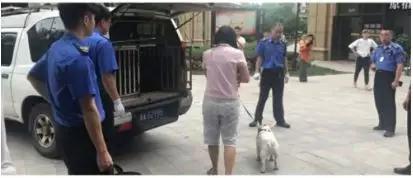 杭州母女被4条狗围攻后续 犬主养了5条狗都是无证犬 