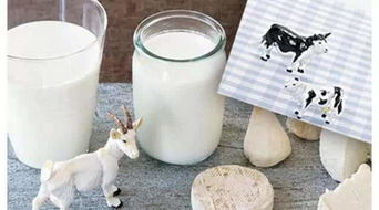 牛奶和羊奶哪个乳糖含量高