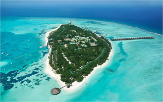 马尔代夫蜜月岛水上飞机体验梦幻般的海上景色（蜜月去马尔代夫要多少钱）