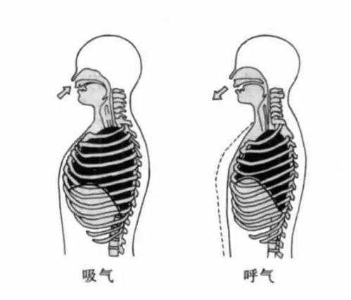 有趣的人体冷知识,99.9 的人不知道,你可能对自己的身体一无所知