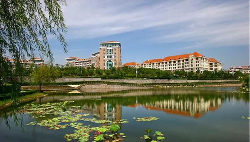 中国海洋大学2020届毕业生就业质量报告 博雅数据库