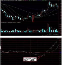 有人在QQ群里组织炒股，他们如何收益