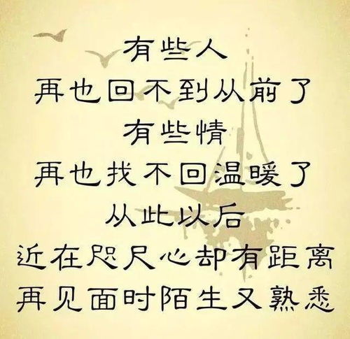 我们再也回不到从前了 心酸 