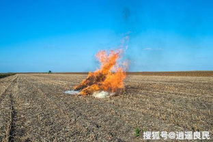 为何现在有部分专家认为治理环境污染从农村开始 看完明白